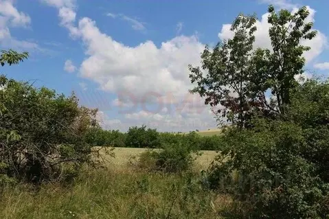 Участок в Ростовская область, Новочеркасск пер. Хуторский (6.2 сот.)