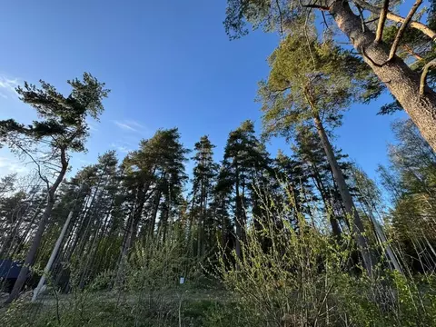 Участок в Ленинградская область, Выборгский район, Полянское с/пос, ...