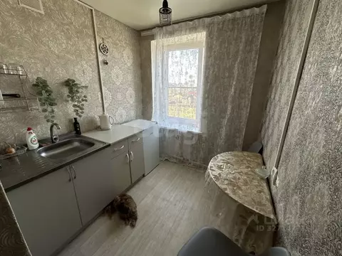 1-к кв. Адыгея, Майкоп Железнодорожная ул., 166/2 (21.9 м)