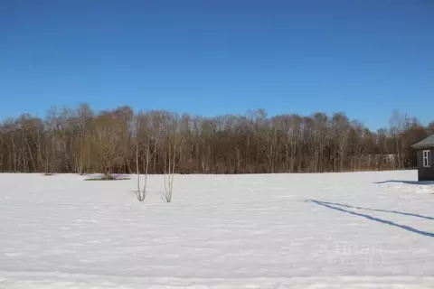 Участок в Московская область, Шаховская муниципальный округ, с. ...