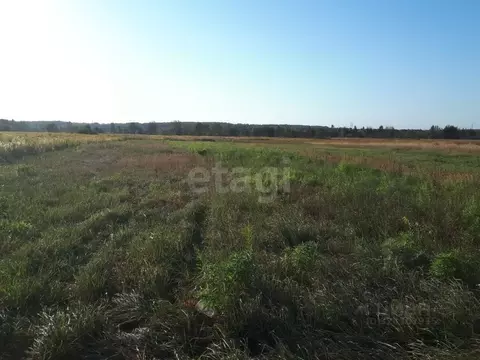 Участок в Брянская область, Брянский район, Добрунское с/пос, д. ...