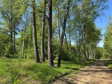 Участок в Смоленская область, Демидовский муниципальный округ, Деревня ...