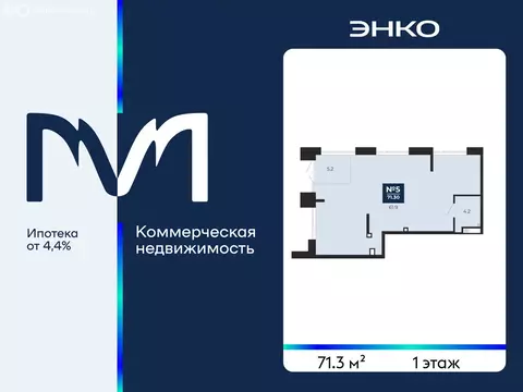 Помещение свободного назначения (71.3 м)