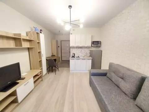 Студия Московская область, Ленинский городской округ, Лопатино пгт ул. ...