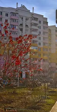 3-к кв. Белгородская область, Белгород ул. Есенина, 46 (68.6 м)