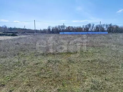 Участок в Белгородская область, Алексеевка Евсеев Хуторок мкр, ул. ...