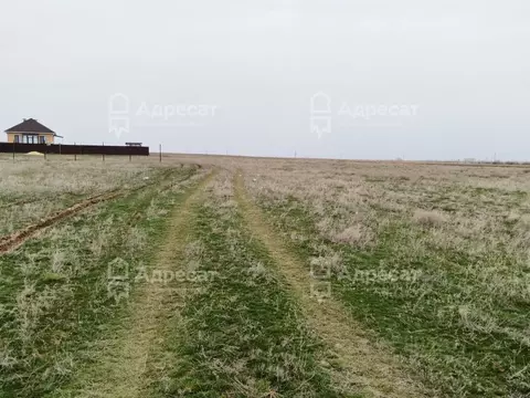 Участок в Волгоградская область, Волгоград ул. Груздевая (8.1 сот.)