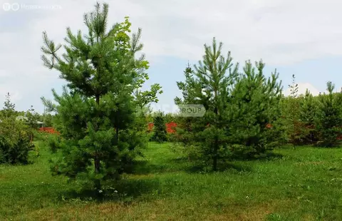 Участок в посёлок Барвиха, территория Барвиха Вилладж (121 м)