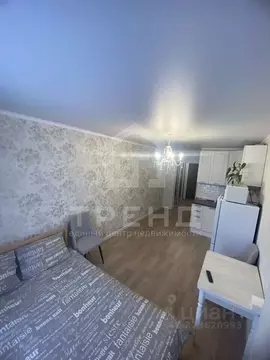 Студия Ленинградская область, Мурино Всеволожский район, ул. Шоссе в ...