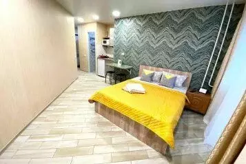 1-к кв. Алтайский край, Барнаул ул. Никитина, 107 (32.0 м)