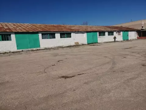 Склад в Самарская область, Похвистнево Революционная ул., 251А (2000 ...