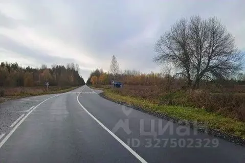 Участок в Новгородская область, Новгородский район, Савинское с/пос, ...