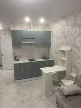 Студия Москва Производственная ул., 17 (21.7 м)