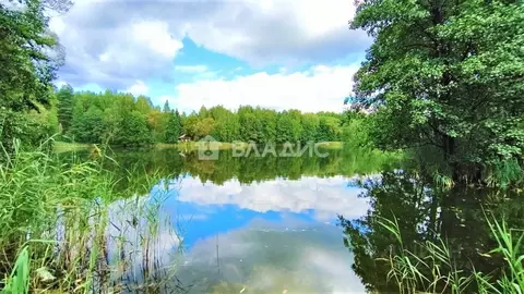 Участок в Владимирская область, Судогодский район, пос. Муромцево ул. ...