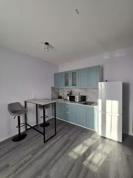 Студия Санкт-Петербург пос. Парголово, дор. Михайловская, 16к3 (30.0 ...