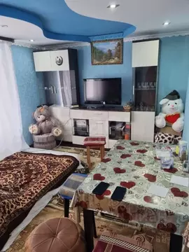 2-к кв. Тверская область, Осташков ш. Пеновское, 6А (37.1 м)