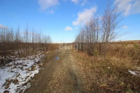 Участок в Свердловская область, Горноуральский муниципальный округ, ...