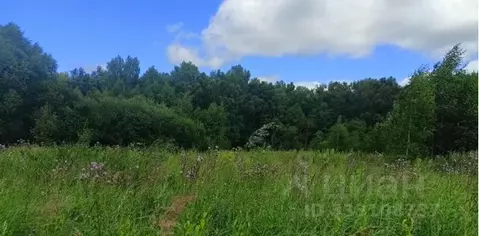 Участок в Московская область, Дмитровский муниципальный округ, пос. ...