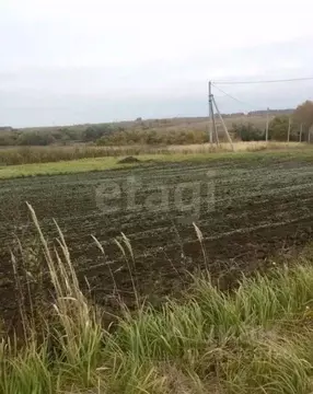 Участок в Тульская область, Заокский район, Демидовское с/пос, с. ...