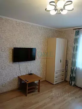 Студия Новосибирская область, Новосибирск ул. Дмитрия Донского, 24/1 ...