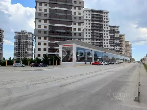 Торговая площадь в Краснодарский край, Новороссийск просп. ...