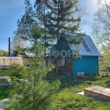 Дом в Новосибирская область, Новосибирский район, Каменский сельсовет, ...