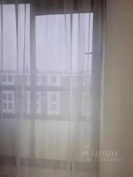 Студия Санкт-Петербург просп. Буденного, 23к1 (25.0 м)