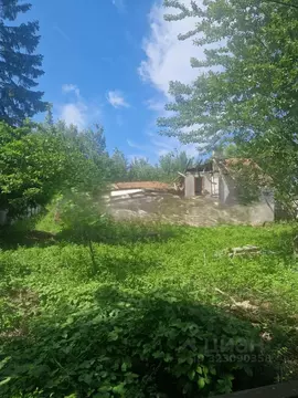 Участок в Калининградская область, Зеленоградский муниципальный округ, ...