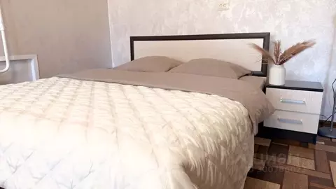 1-к кв. Нижегородская область, Городец ул. Фурманова, 16 (40.0 м)