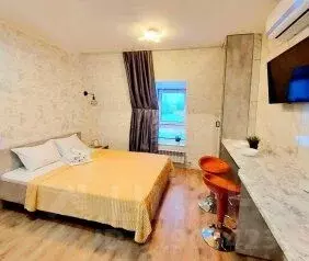 1-к кв. Алтайский край, Барнаул ул. Льва Толстого, 13А (20.0 м)