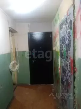 Комната Свердловская область, Нижний Тагил Солнечная ул., 12 (17.8 м)