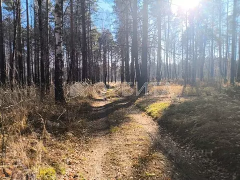 Участок в Тюменская область, Тюменский муниципальный округ, д. Речкина ...