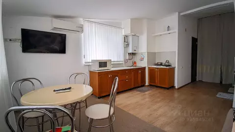 1-к кв. Краснодарский край, Сочи Мамайка мкр, ул. Волжская, 29/1 (43.0 ...