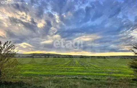 Участок в Белогорский район, село Русаковка (831 м)