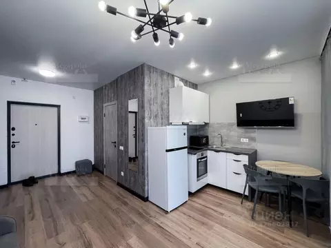 Студия Санкт-Петербург пос. Шушары, ул. Чудовская, 14к1 (27.0 м)