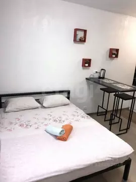 Студия Тверская область, Тверь ул. Склизкова, 116к6 (29.0 м)