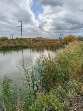 Участок в Ставропольский край, Шпаковский муниципальный округ, пос. ...