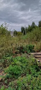 Участок в Курганская область, Шадринск Радуга СНТ, 2 (993.0 сот.)