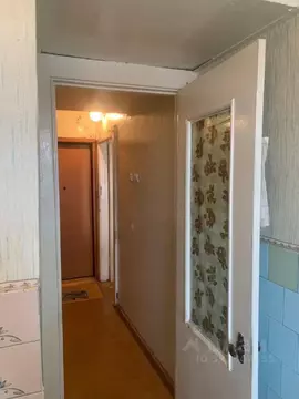 1-к кв. Красноярский край, Красноярск Зеленая Роща мкр, ул. ...