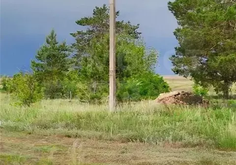 Участок в Оренбургская область, Соль-Илецк Просторная ул., 55 (13.0 ...