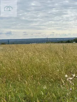 Участок в Воронежская область, Рамонский район, Новоживотинновское ...