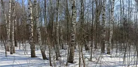 Участок в Московская область, Дмитровский муниципальный округ, д. ...