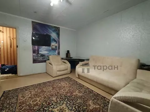 1-к кв. Челябинская область, Чебаркуль Электростальская ул., 5А (35.9 ...