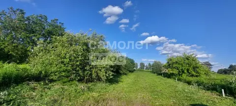 Участок в Брянская область, Брянский район, Мичуринское с/пос, ...