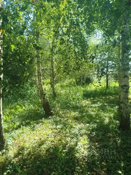 Участок в Московская область, Клин городской округ, д. Голенищево  ...