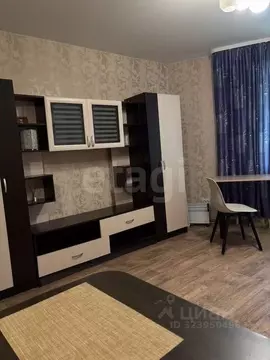 Студия Пермский край, Пермь Автозаводская ул., 30 (24.0 м)