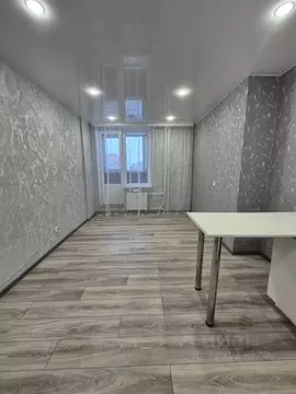 Студия Пермский край, Пермь ул. Советской Армии, 60 (26.1 м)