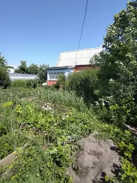 Дом в Омская область, Омск Бодрость-1 СНО, аллея 2-я (18 м)