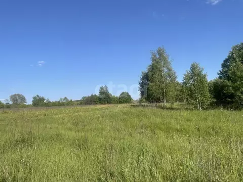 Участок в Тульская область, Дубенский район, Протасовское с/пос, д. ...