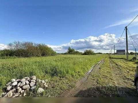 Участок в Новгородская область, Чудовский район М-10 Россия, 553-й км ...